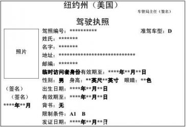 美国纽约州驾照翻译模板